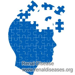 Can IgA Nephropathy in Stage 4 Cause Poor Memory
