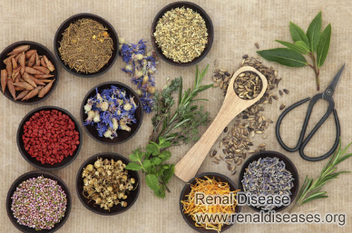 Creatinine 6.8 in Diabetic Nephropathy: Can My Kidneys Get Normal