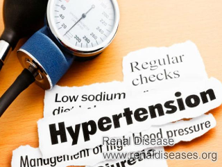 What Supplements and Herbs Are Good to Take with Lupus Nephritis and Hypertension