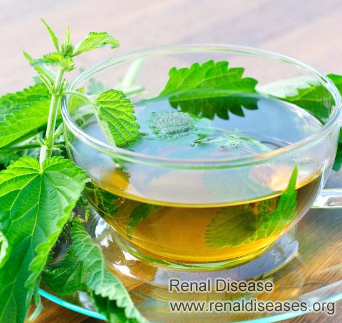 Does Nettle Leaf Tea Work to Improve Kidney Problems