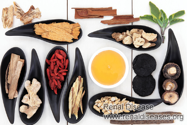 Is Lupus Nephritis Curable by Chinese Medicine