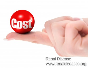 Treatment’s Cost for Nephrotic Syndrome and How Long Does It Take