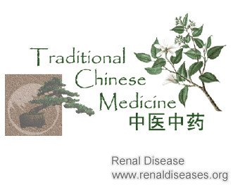 Current Treatments for Chronic Kidney Disease