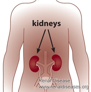 How Does Dialysis Process Creatinine 6.0