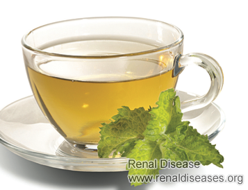 Is Nettle Tea Safe for Stage 4 CKD on Elderly Woman