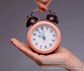 Kidney Function 20%: How Long Will I Live Without Dialysis
