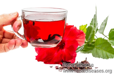 What Are the Benefits of Hibiscus Tea for Kidney Patients