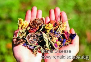 How to Improve GFR 45 for Patients with One Kidney