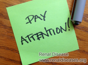 Learn The Harms Of Getting CKD