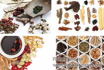 What Can You Take to Keep Your Creatinine Level Down