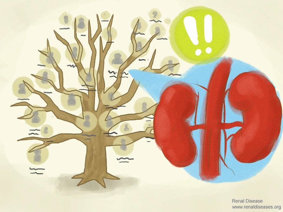 Recommended Treatment for Improving Renal Function in Kidney Failure
