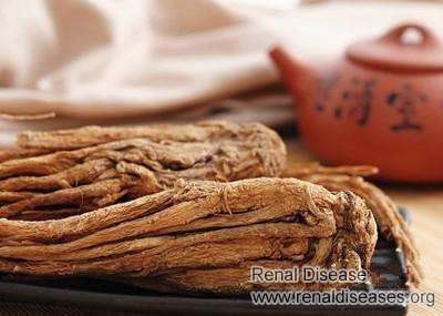 Can Chinese Angelica Improve Kidney Function