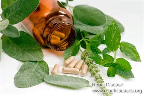 Natural Ways to Benefit Renal Cysts