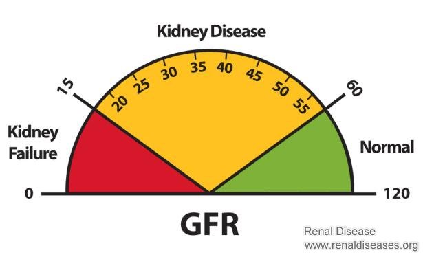 eGFR 41 with PKD