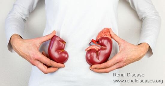 How Do We Know if An Atrophic Kidney Dies