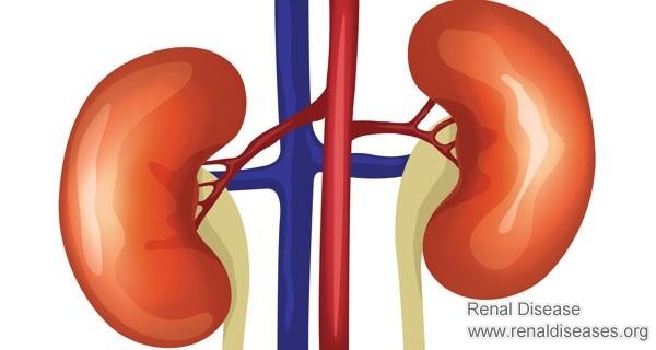 Can One Restore Normal Kidney Function from Stage 3