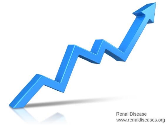 Is There Any Increase in Creatinine Level in Chronic Glomerulonephritis