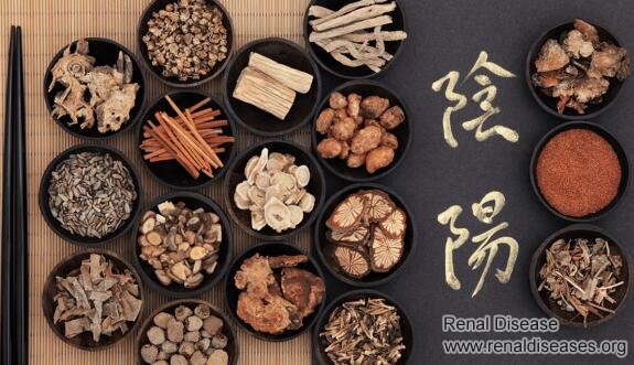 How to Improve Your Kidneys from 50 Percent to 80-90 Percent