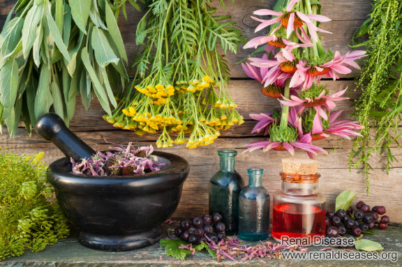 Best Herbal Treatment for Kidney Failure