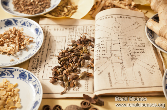 Chinese Medications for Nephrotic Syndrome