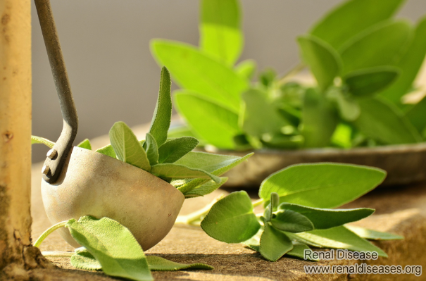 Toxin-Removing Treatment for stage 4 CKD patients