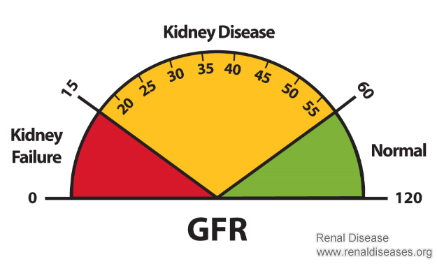 Is A GFR Level of 26 Dangerous