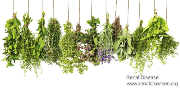How to Help Kidneys Filter Toxins with Herbs
