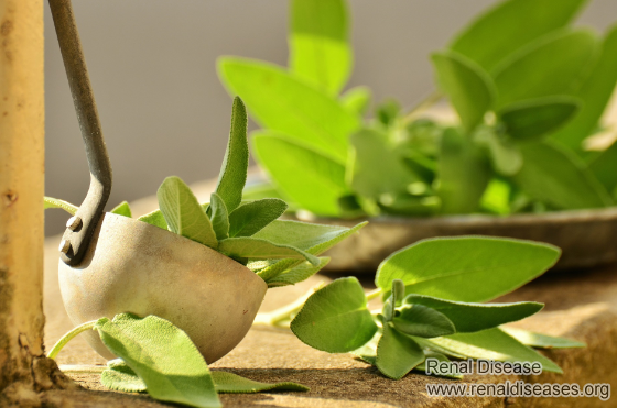 What Can I Do to Increase Kidney Function with Stage 4 CKD
