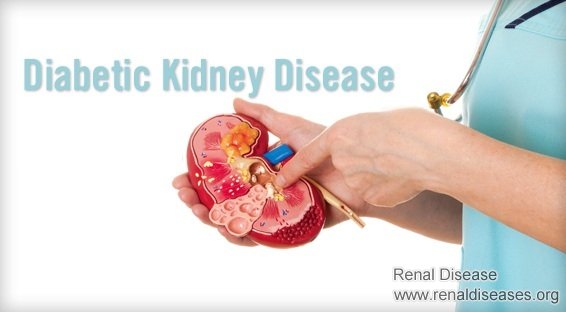 Treatment for diabetics to lower high creatinine 2.8