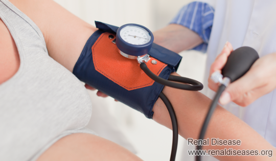 Hypertension With Creatinine 1.44: What Will I Do