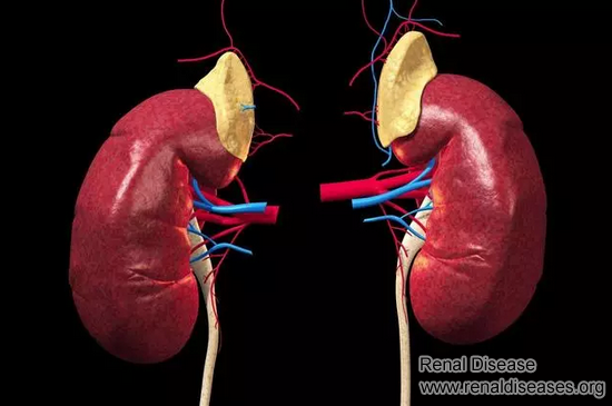 Two Indexes Help You Prevent Diabetes from Developing to Uremia