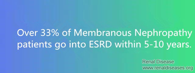 How Many Years It Will Take for Nephrotic Syndrome to Develop to ESRD