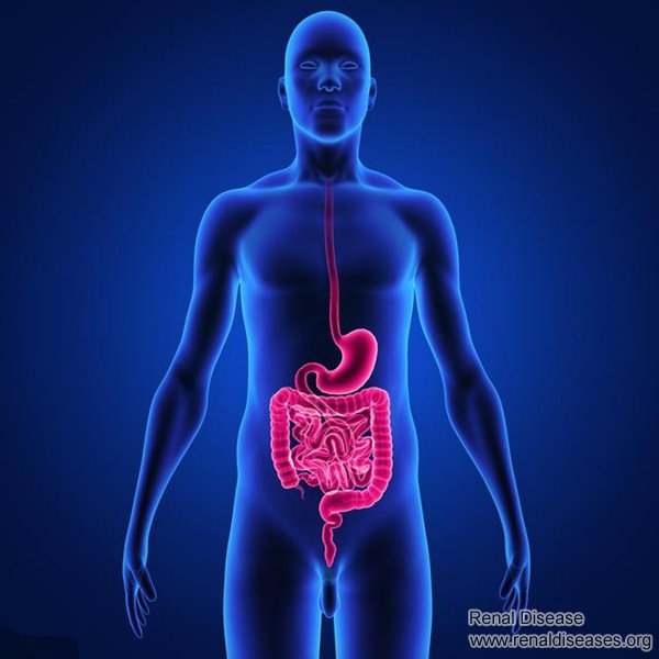 3 Infections in Kidney Disease