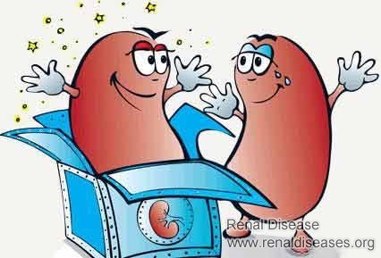 Why Your Nephritis Can Not Be Cured? Do You Know These 6 Causes?