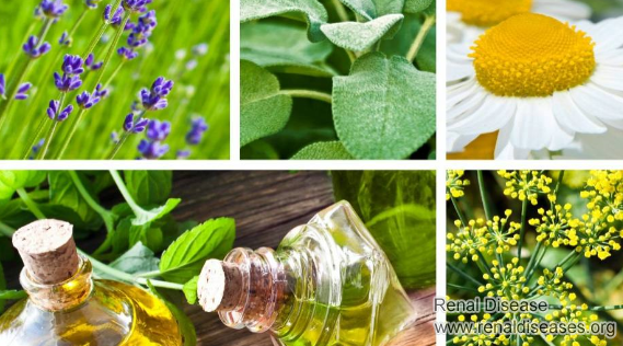 Herbal Treatment for IgA Nephropathy