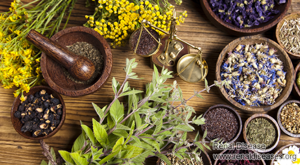 Chinese medicine for Nephrotic Syndrome patients to turn albuminuria negative