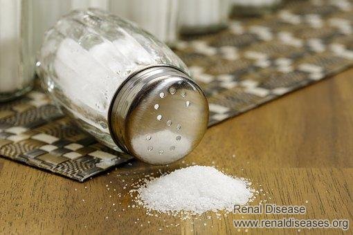 How to Abide by Scientific Dietary Principles for Patients with Elevated Creatinine Level