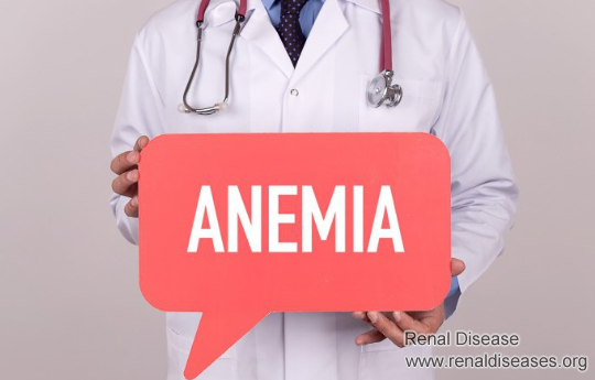 Four Abnormalities Indicate Diabetic Nephropathy
