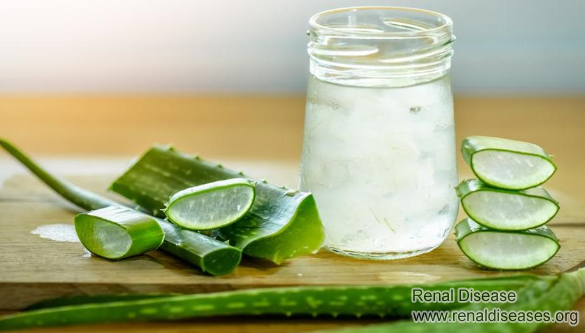 Is Aloe Vera Juice Helpful for IgA Nephropathy