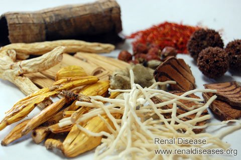 Can You Get Treatment for IgA Nephropathy Without Dialysis
