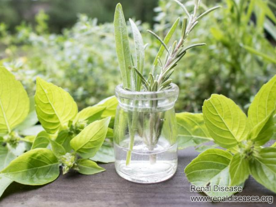Herbs for Kidney Failure Caused by High Blood Pressure