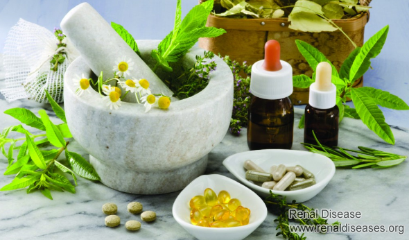 IgA Nephropathy, GFR 29, Creatinine 2.7 and Hypertension