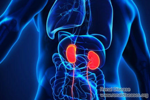 3 Strategies for You to Stabilize Renal Function