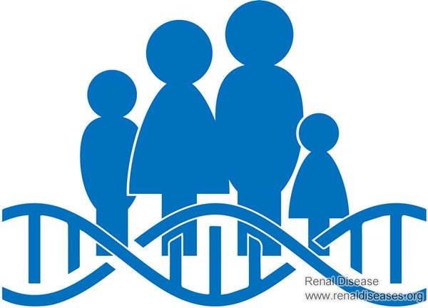 Lupus Nephritis Is It Inherited