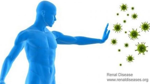 Due to Poor Immunity, Kidney Disease Gets Relapse Frequently: What to Do