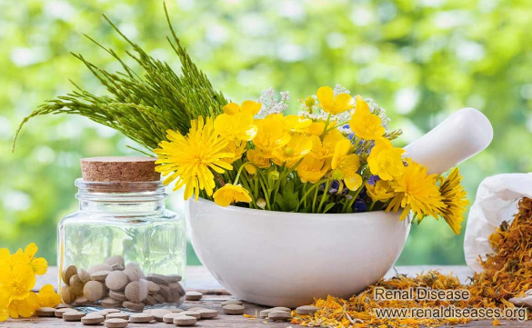 Alternative Medicine for Nephrotic Syndrome Patients with Edema