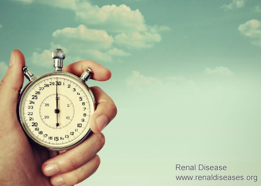 How Long Does It Take for Various Kidney Diseases to Reach Uremia