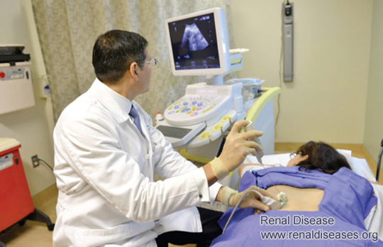 Renal Biopsy for Kidney Patients