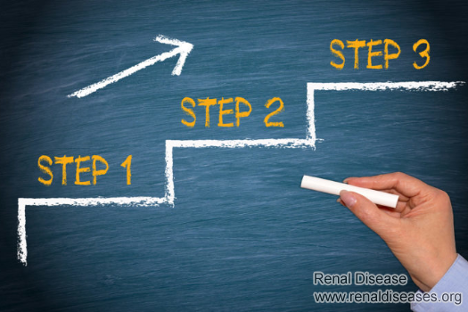 What Steps to Take to Reverse Lost of Kidney Function