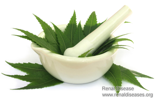 Is Neem Good for Kidney Failure